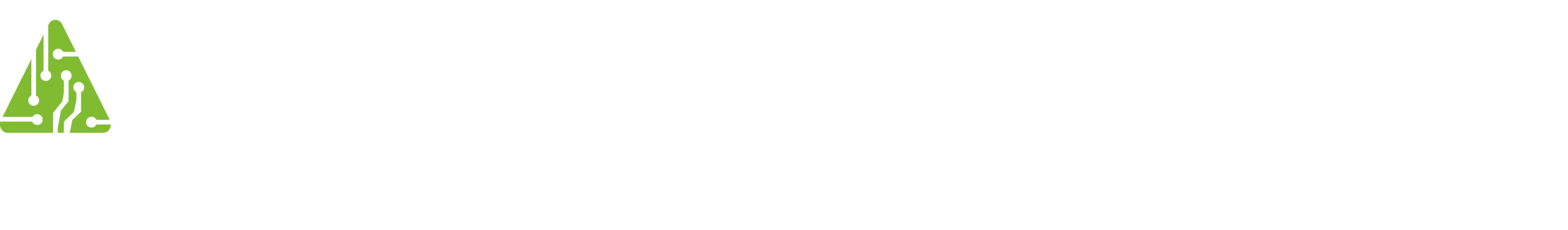 Alexander Kigondu IT Consulting